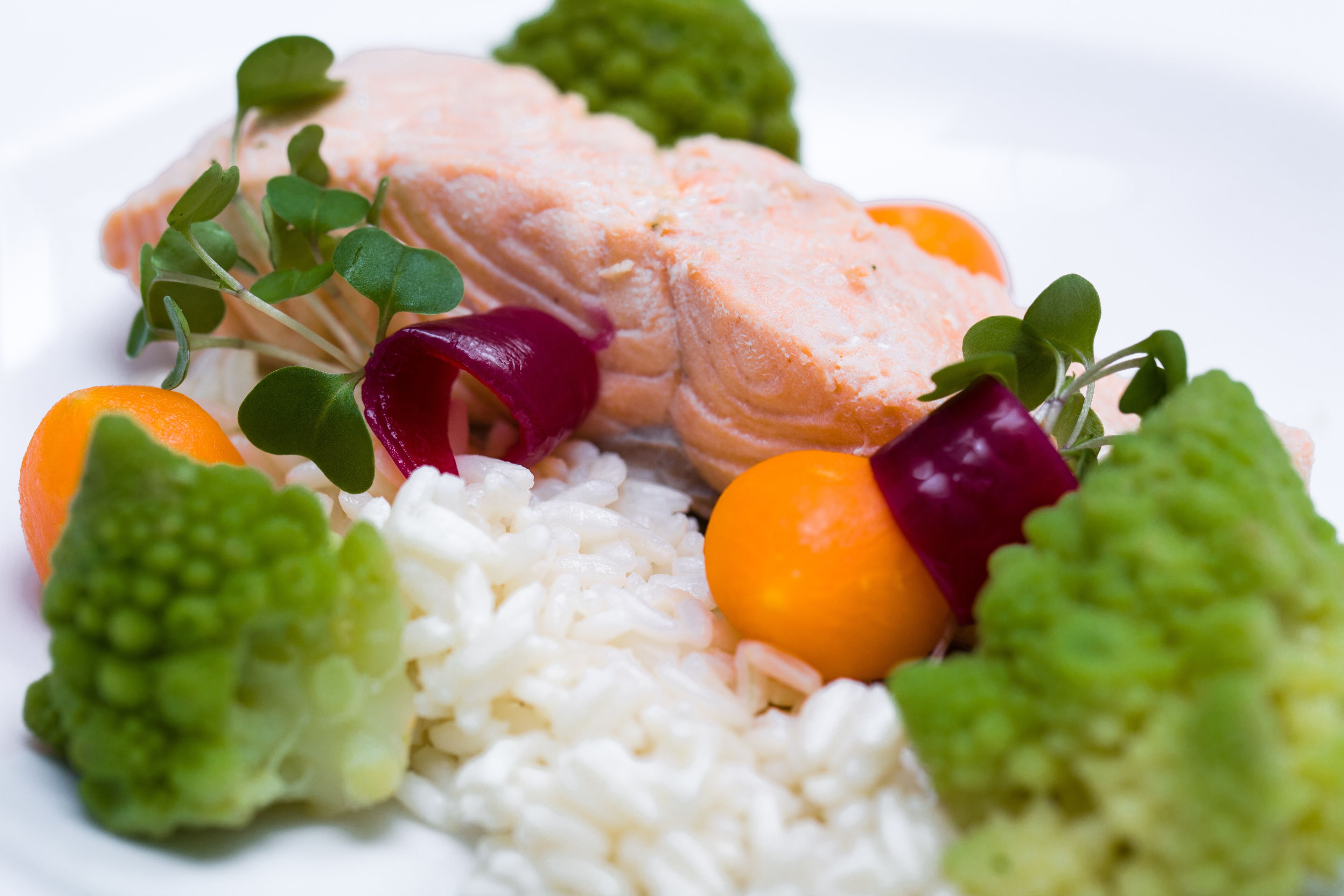 Ein Teller mit Lachs, Reis, Brokkoli und Karotten.