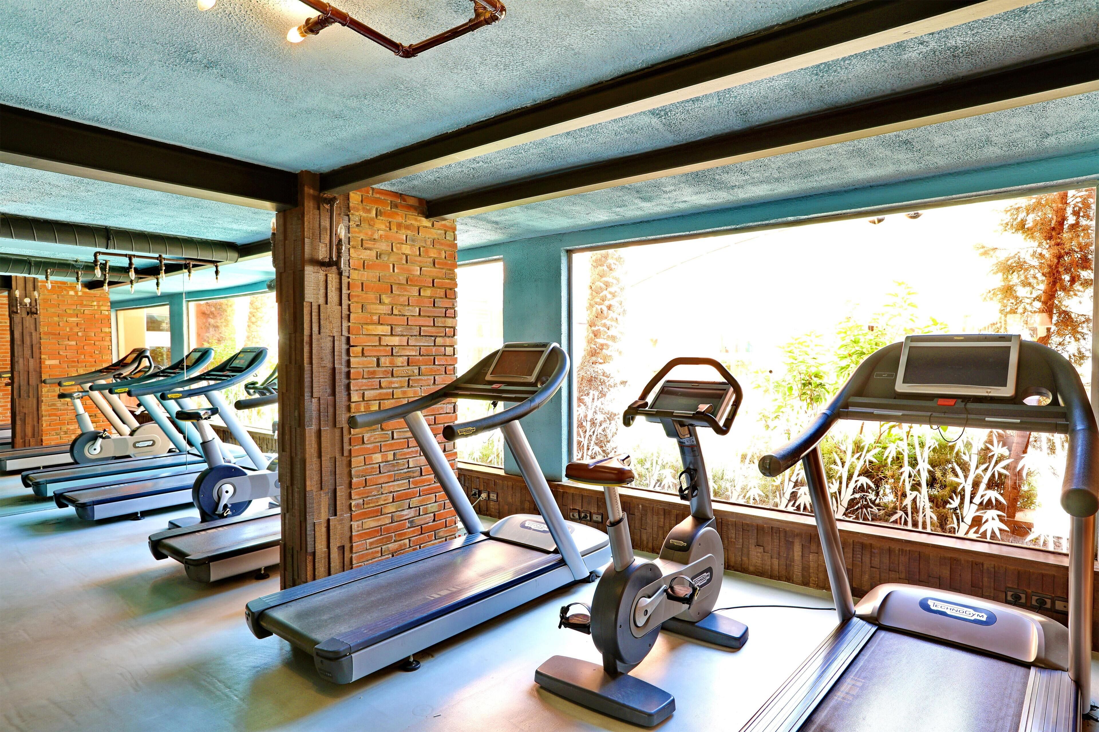 A gym with treadmills, stationary bikes, and a brick wall.