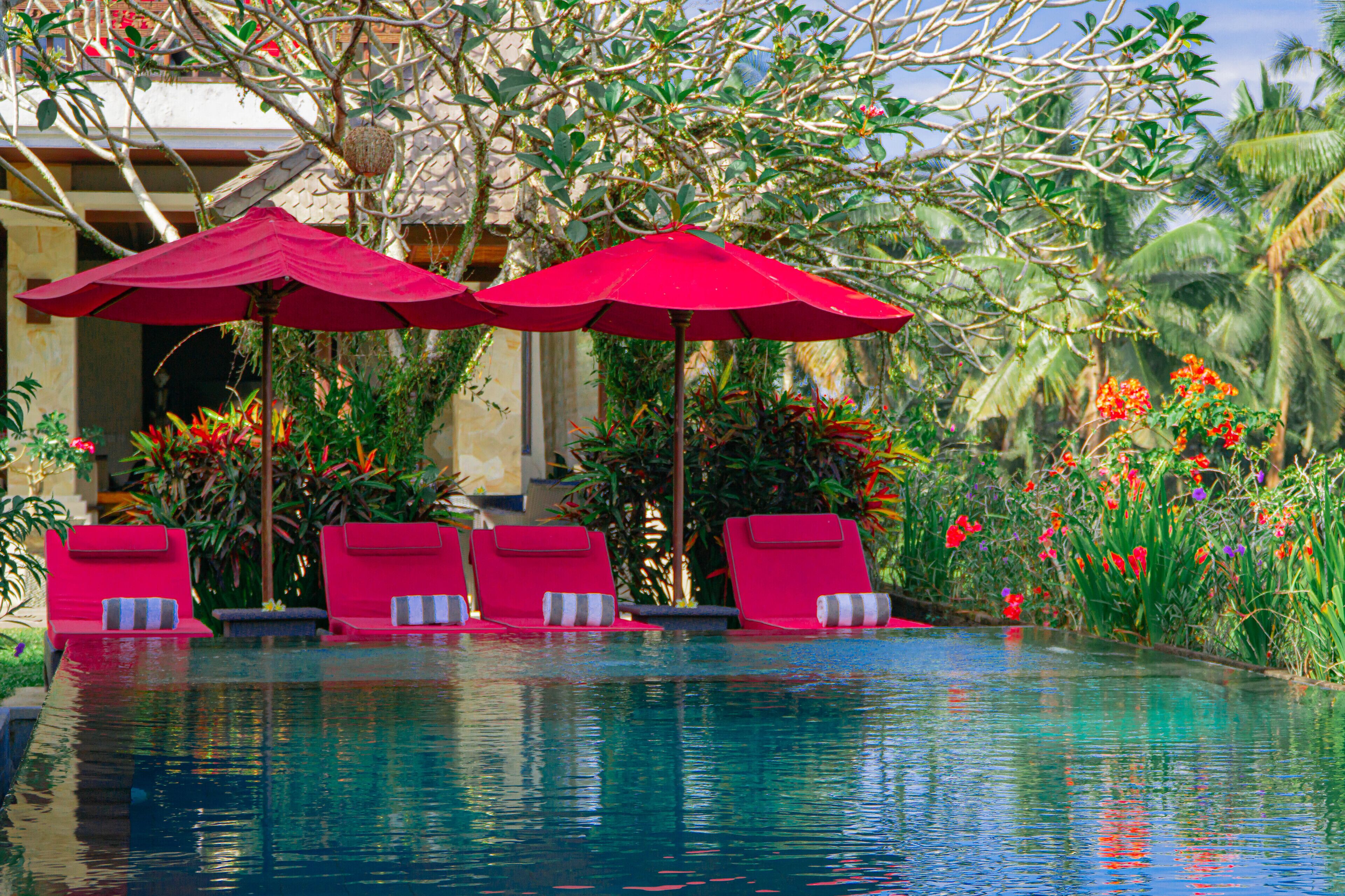 A pool area with red umbrellas and lounge chairs.