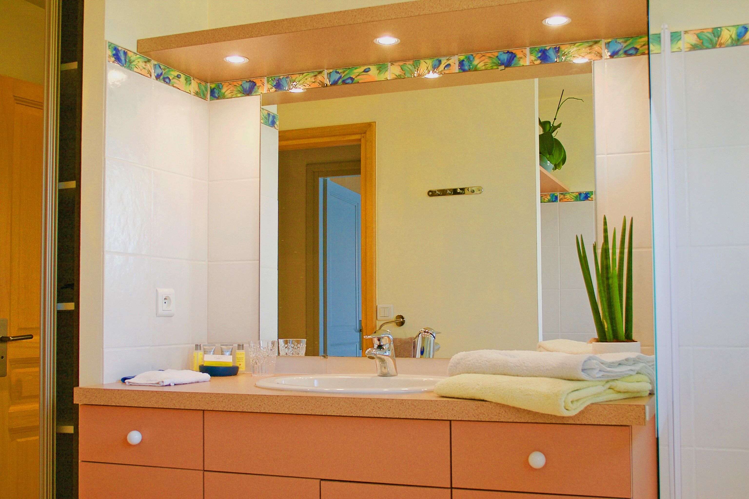 A bathroom with a white sink, a mirror, and a potted plant.
