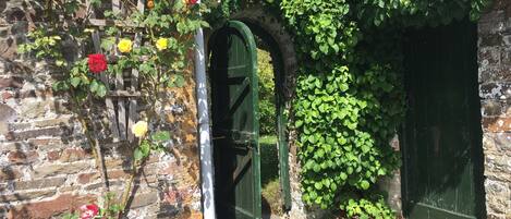 Una pared de piedra rústica con una pérgola de madera que sostiene rosales trepadores. Una puerta verde está parcialmente cubierta por follaje.
