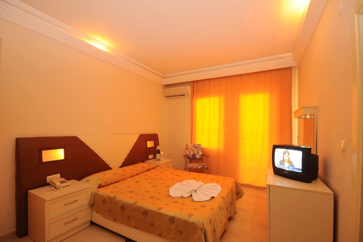 Desk, cribs (free), rollaway beds (surcharge), WiFi (surcharge)