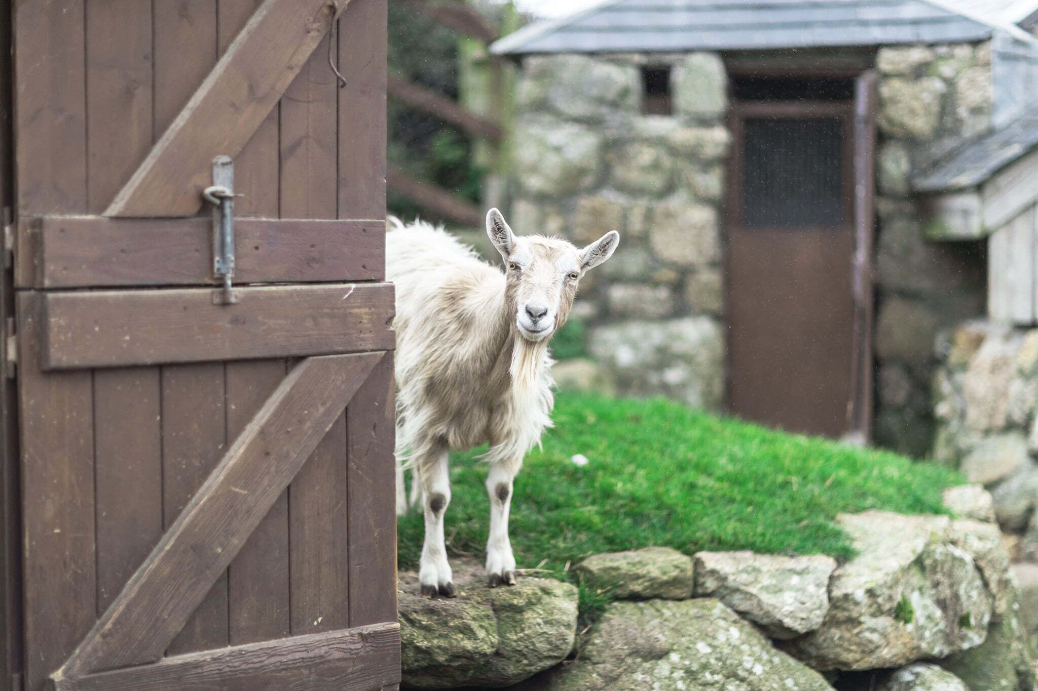 land view from property