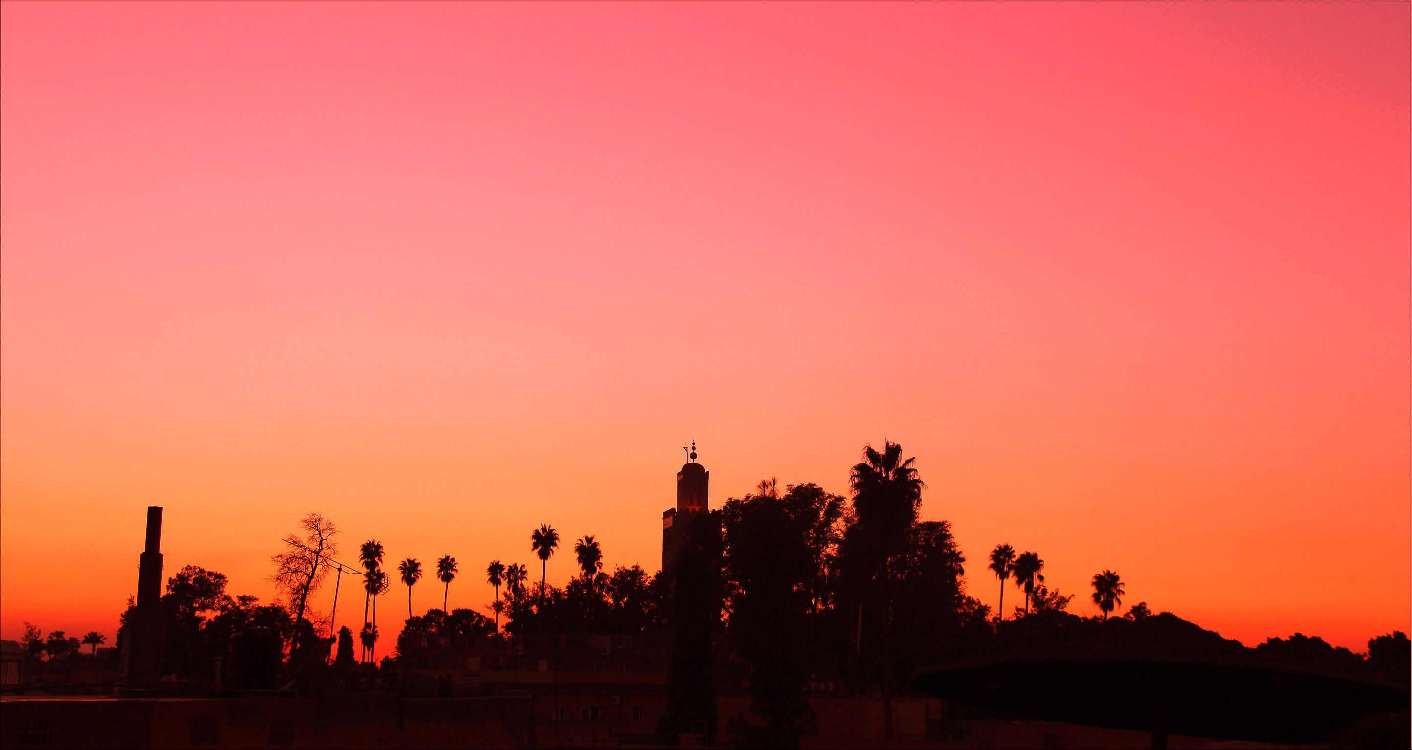 A silhouette of a cityscape at sunset with palm trees and a prominent tower.
