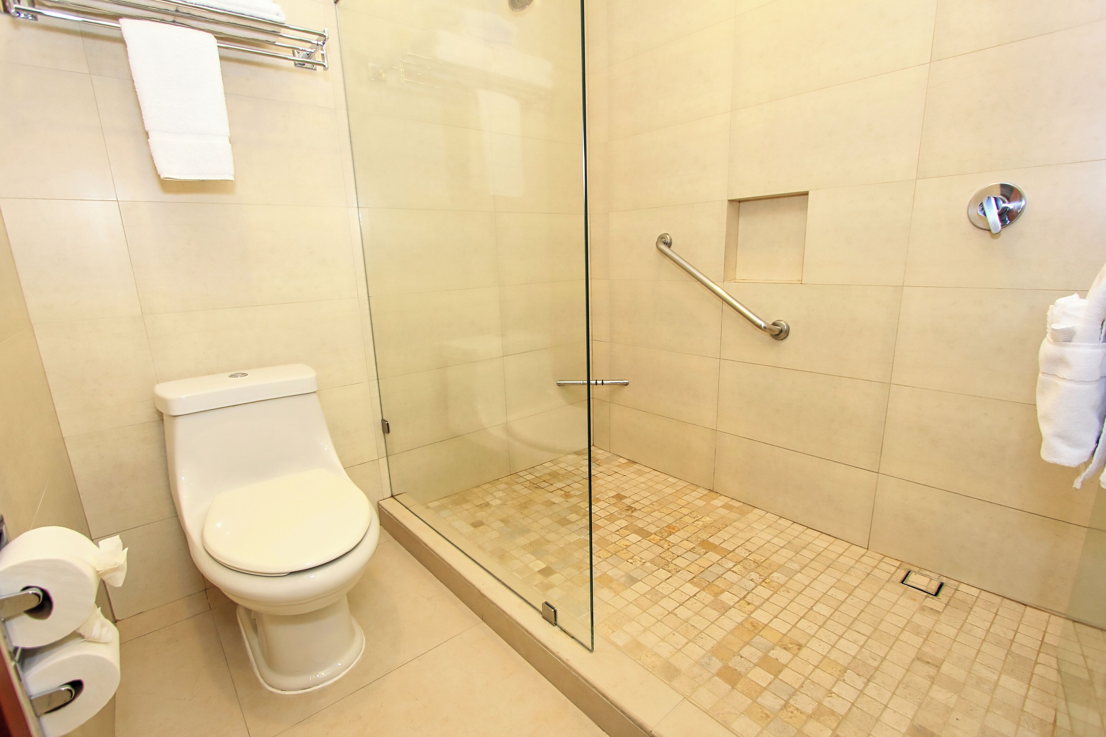 A bathroom with a toilet, a glass-enclosed shower, and a handrail.