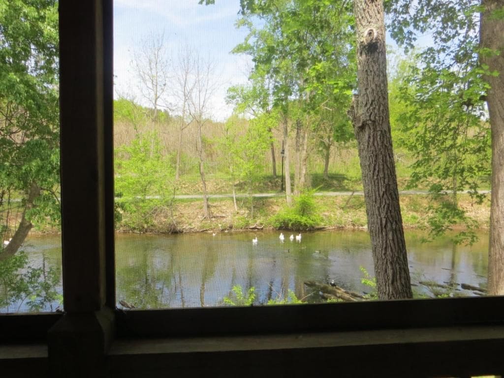 Une vue à travers une fenêtre sur un paysage naturel, avec un étang, des arbres et un ciel dégagé.