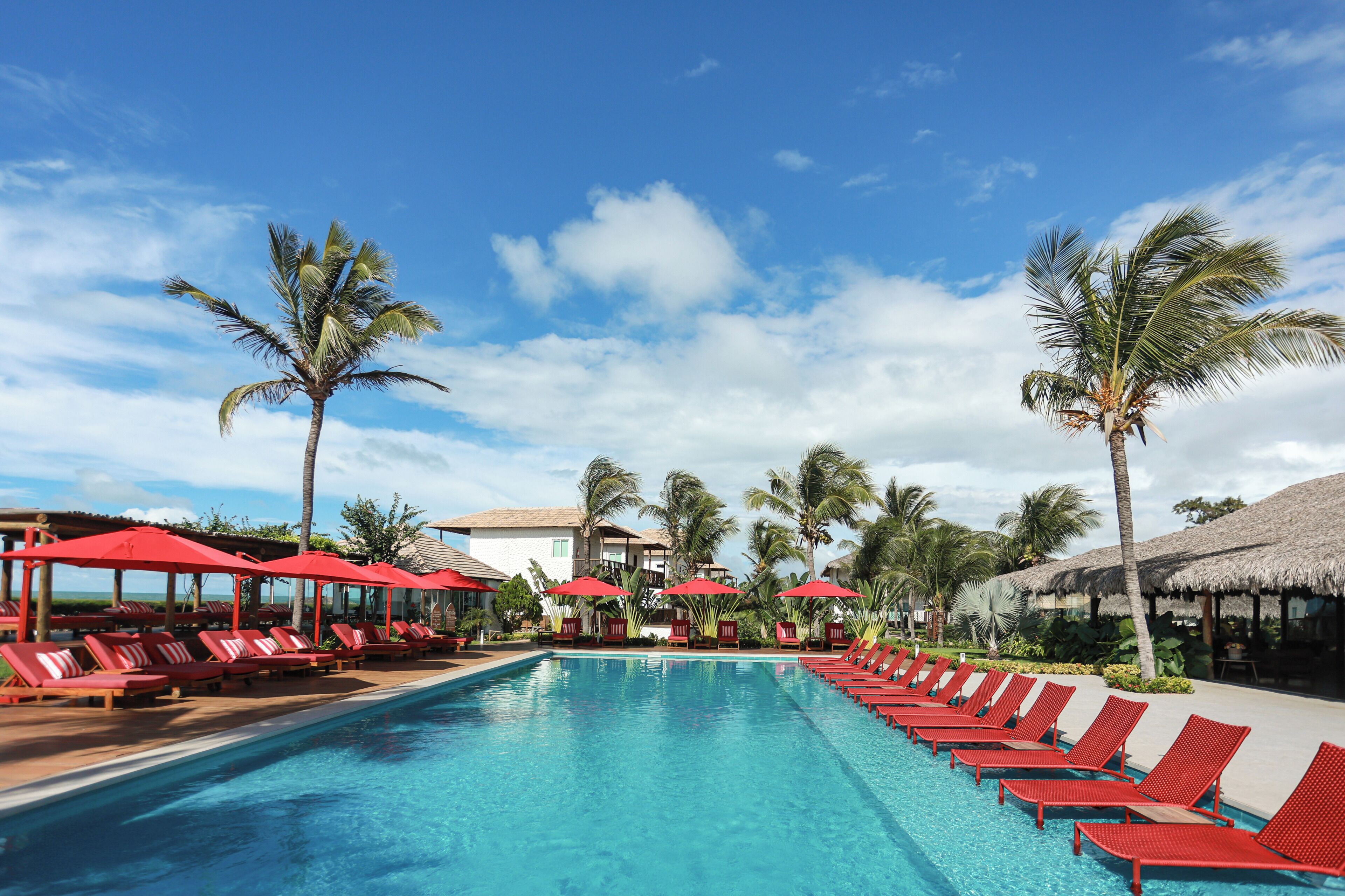 A swimming pool with red lounge chairs and umbrellas, surrounded by palm trees and a clear sky.