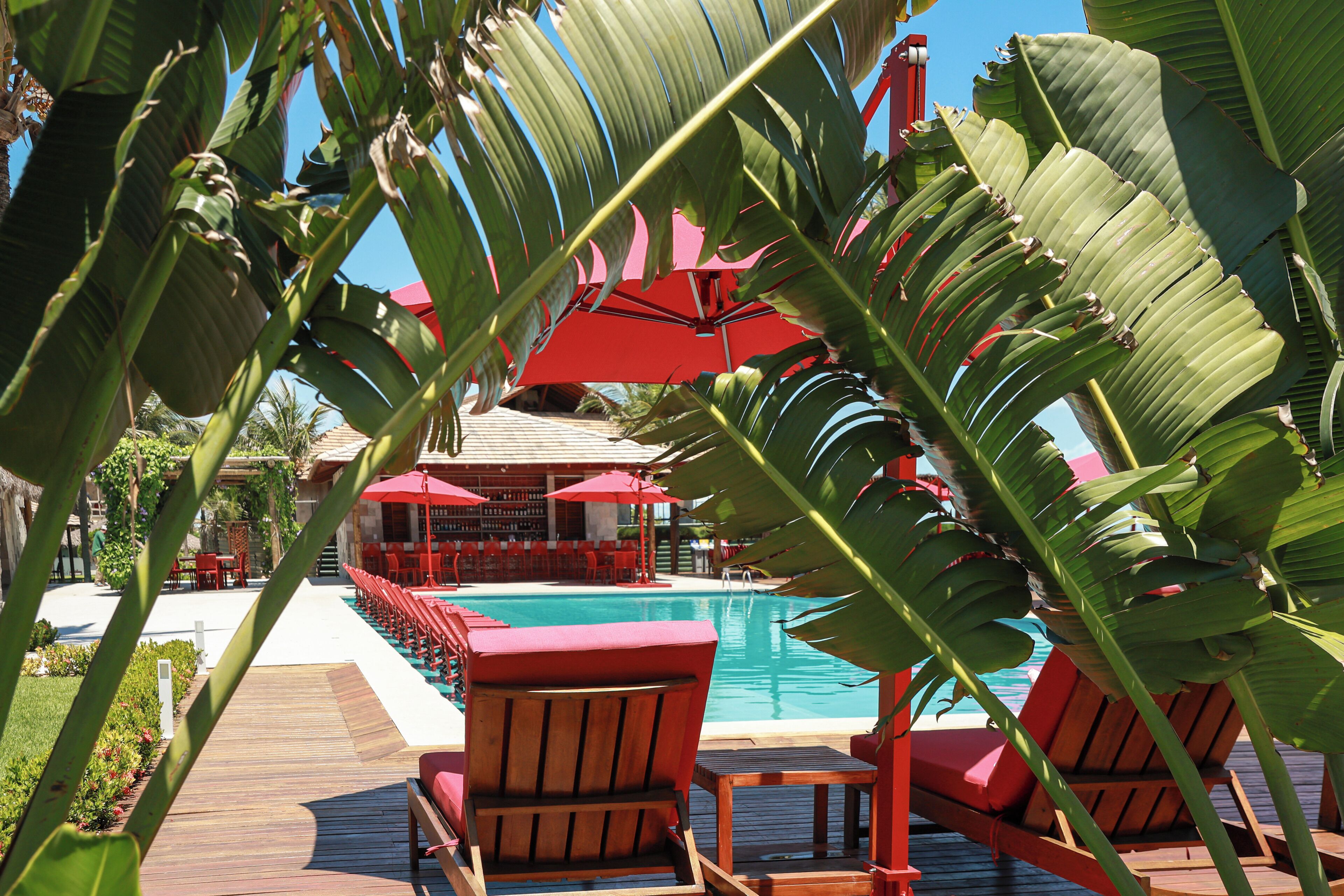 A poolside area with lounge chairs and umbrellas, surrounded by tropical foliage.