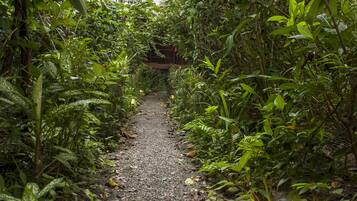 Jardín