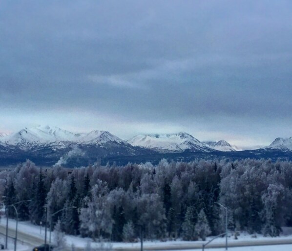 山景