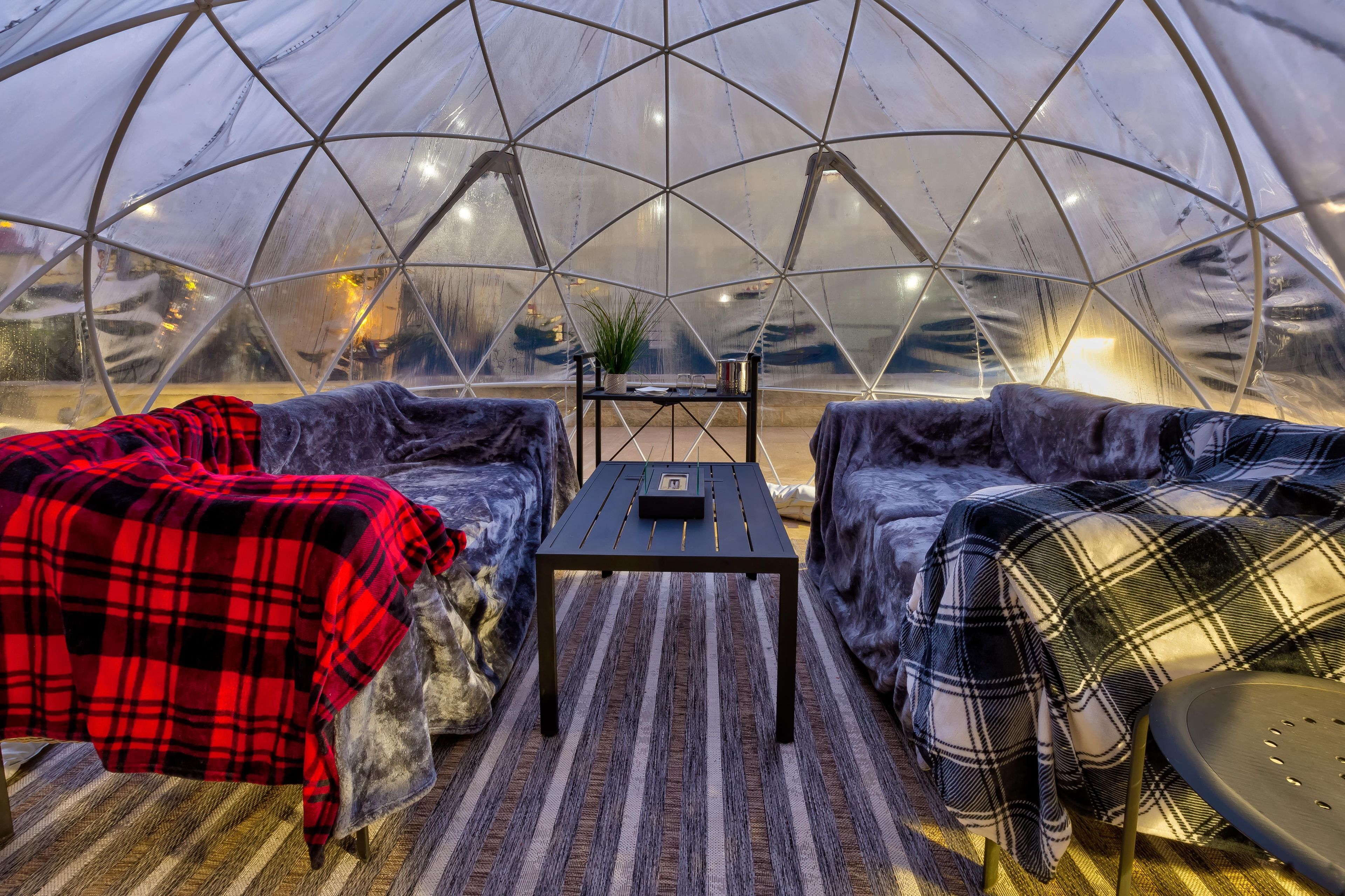 A geodesic dome interior with two sofas, a small table, and a potted plant.