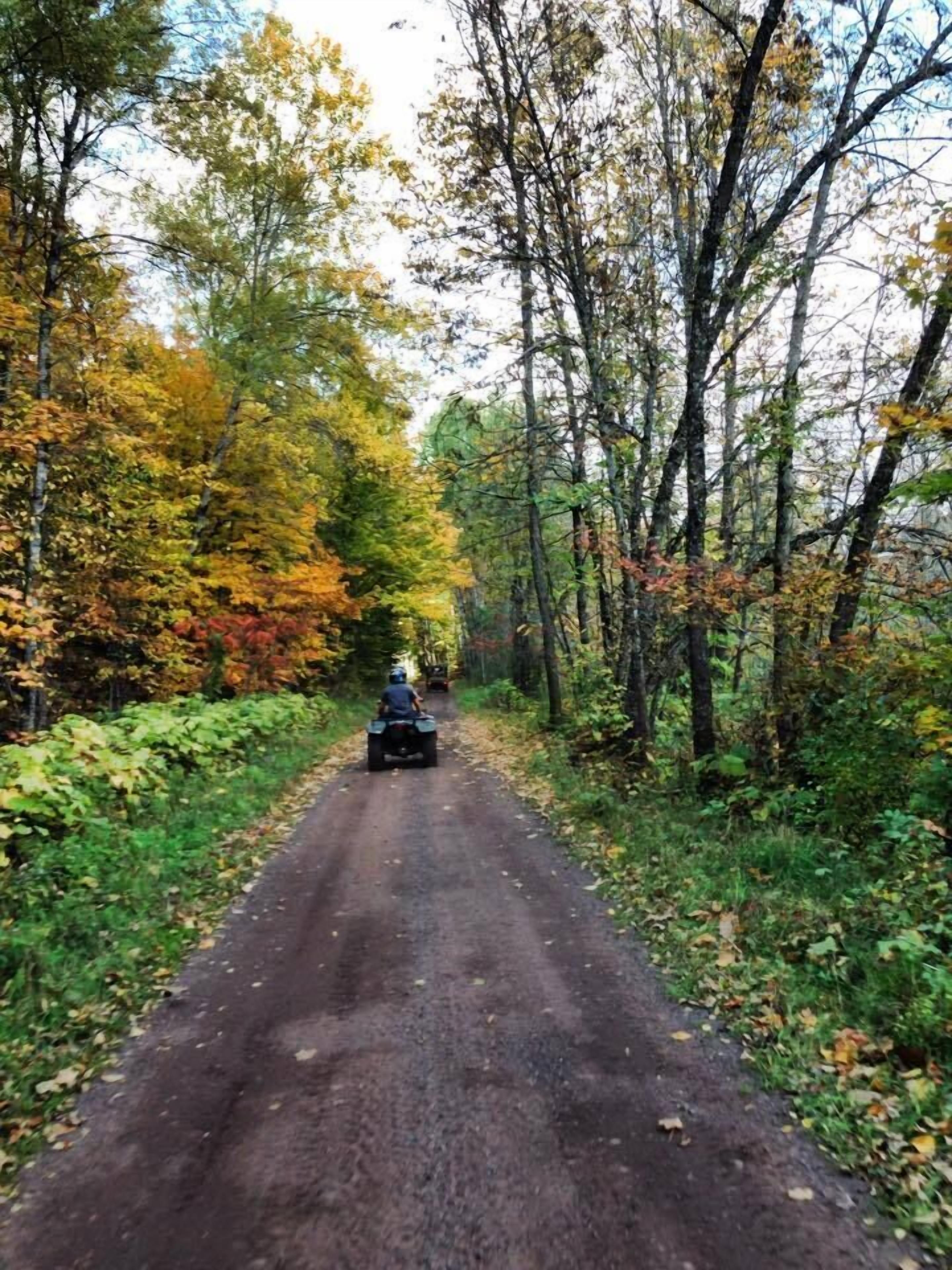 A dirt road flanked by trees with autumn foliage.