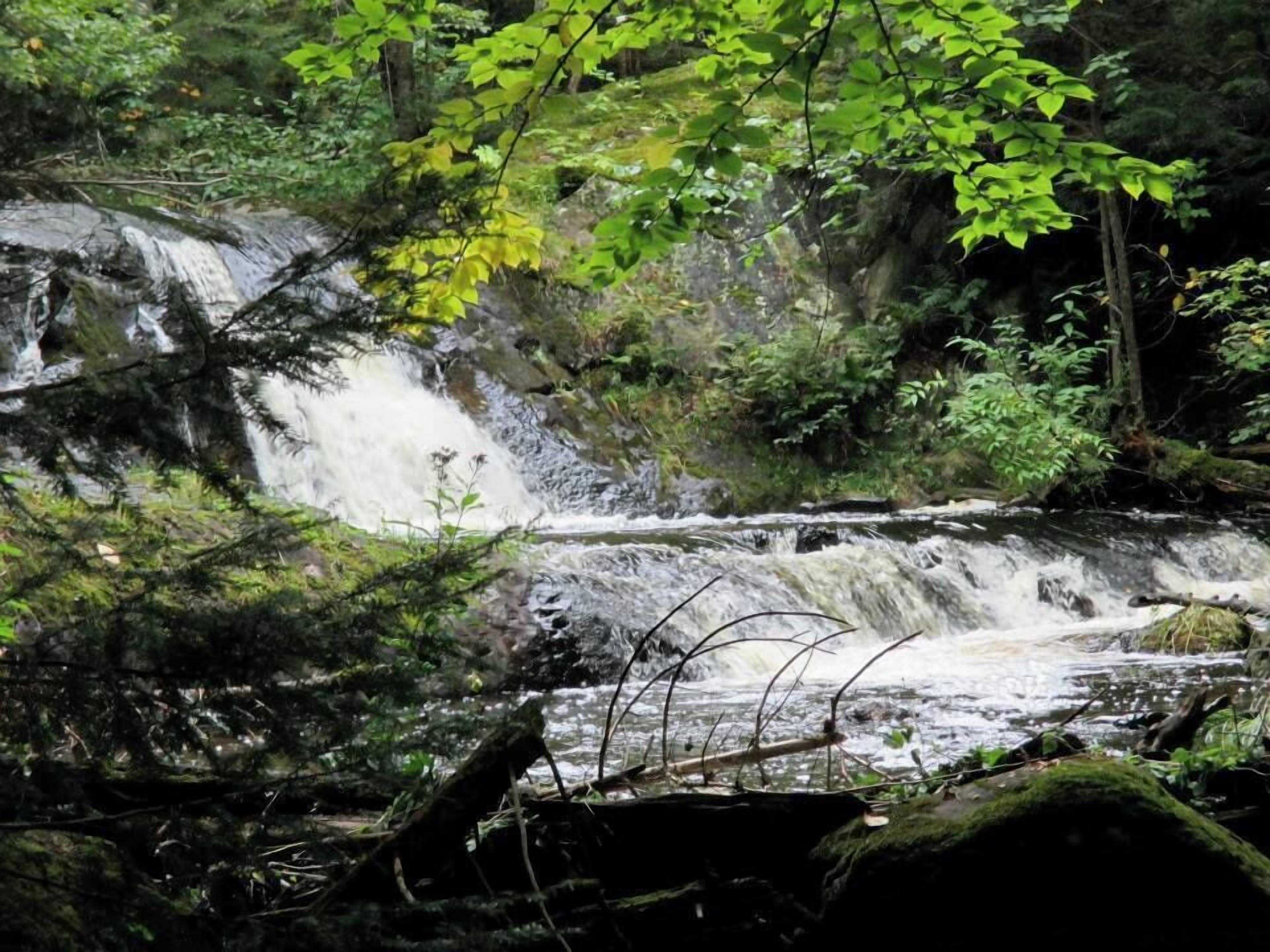 A waterfall in a forested area with dense greenery and moss-covered rocks.
