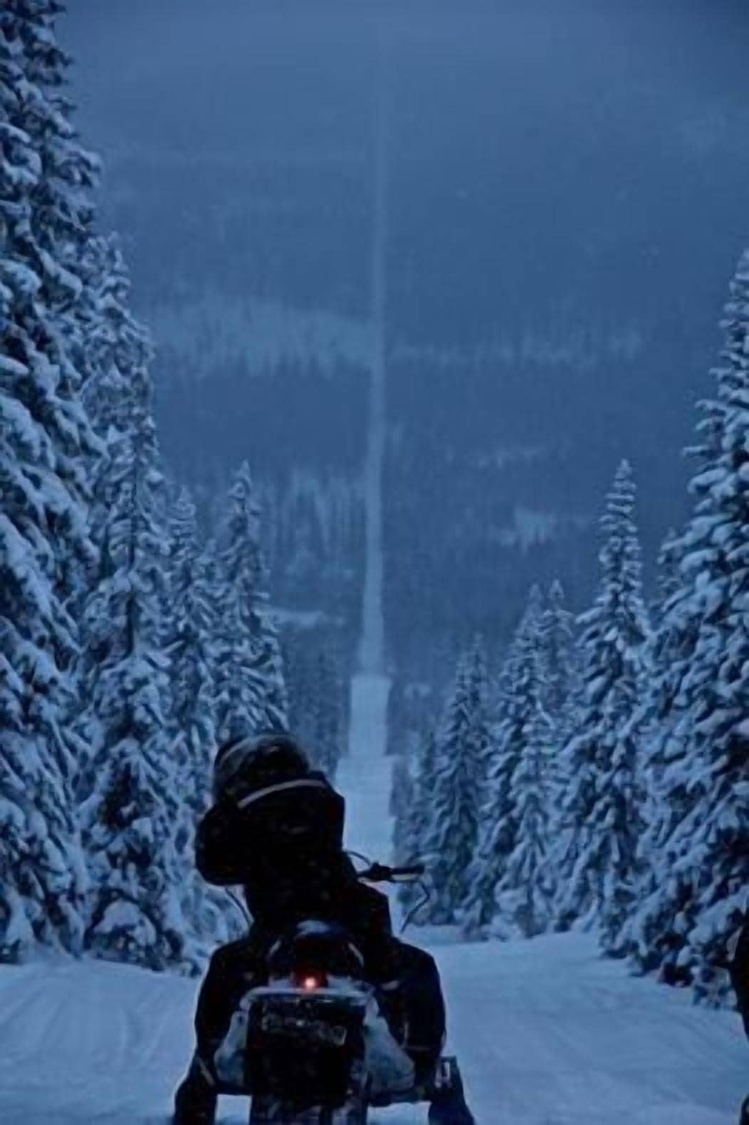 A person riding a motorcycle on a snow-covered road surrounded by snow-covered trees.