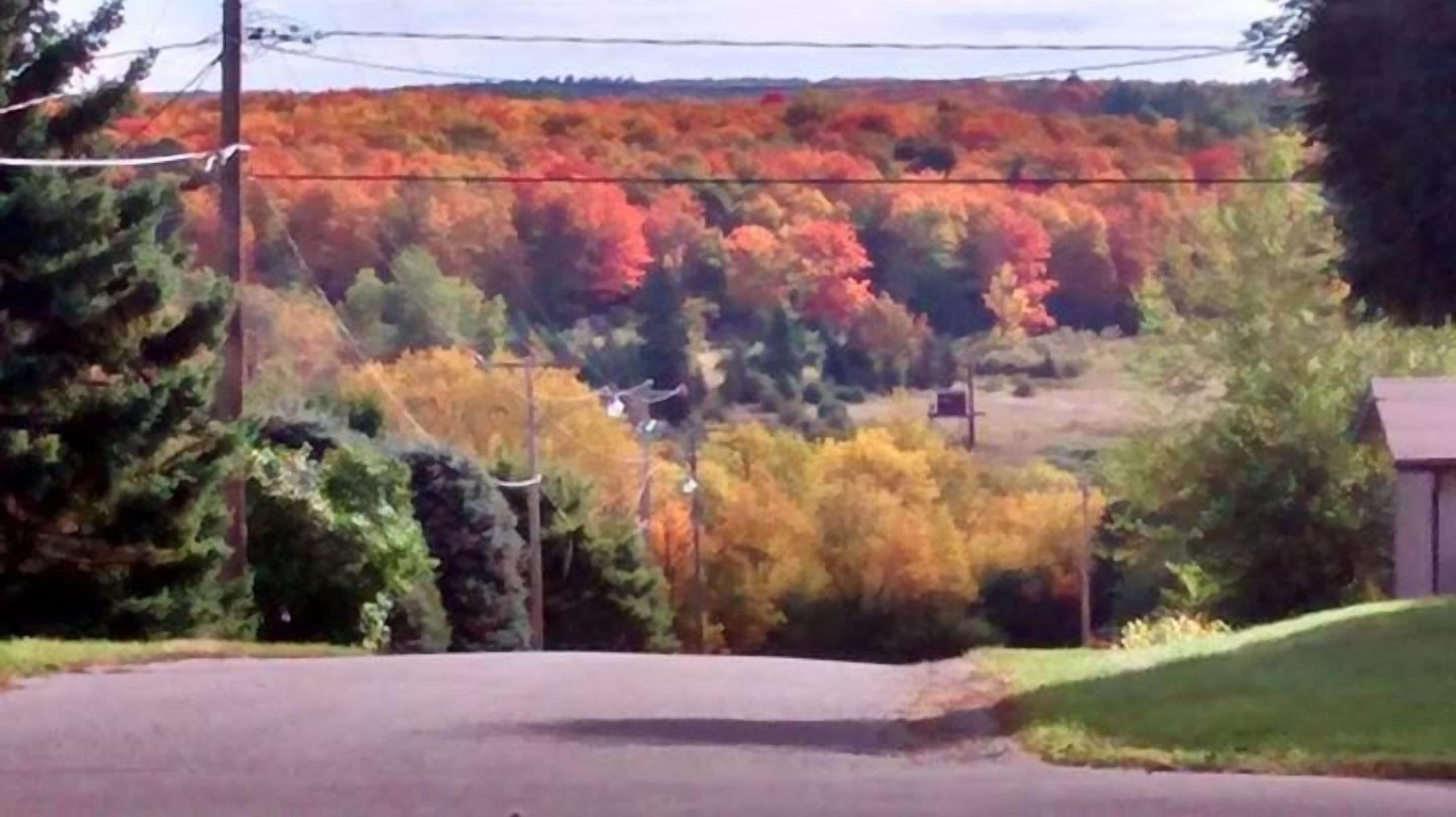 A rural road with autumn foliage in the background.