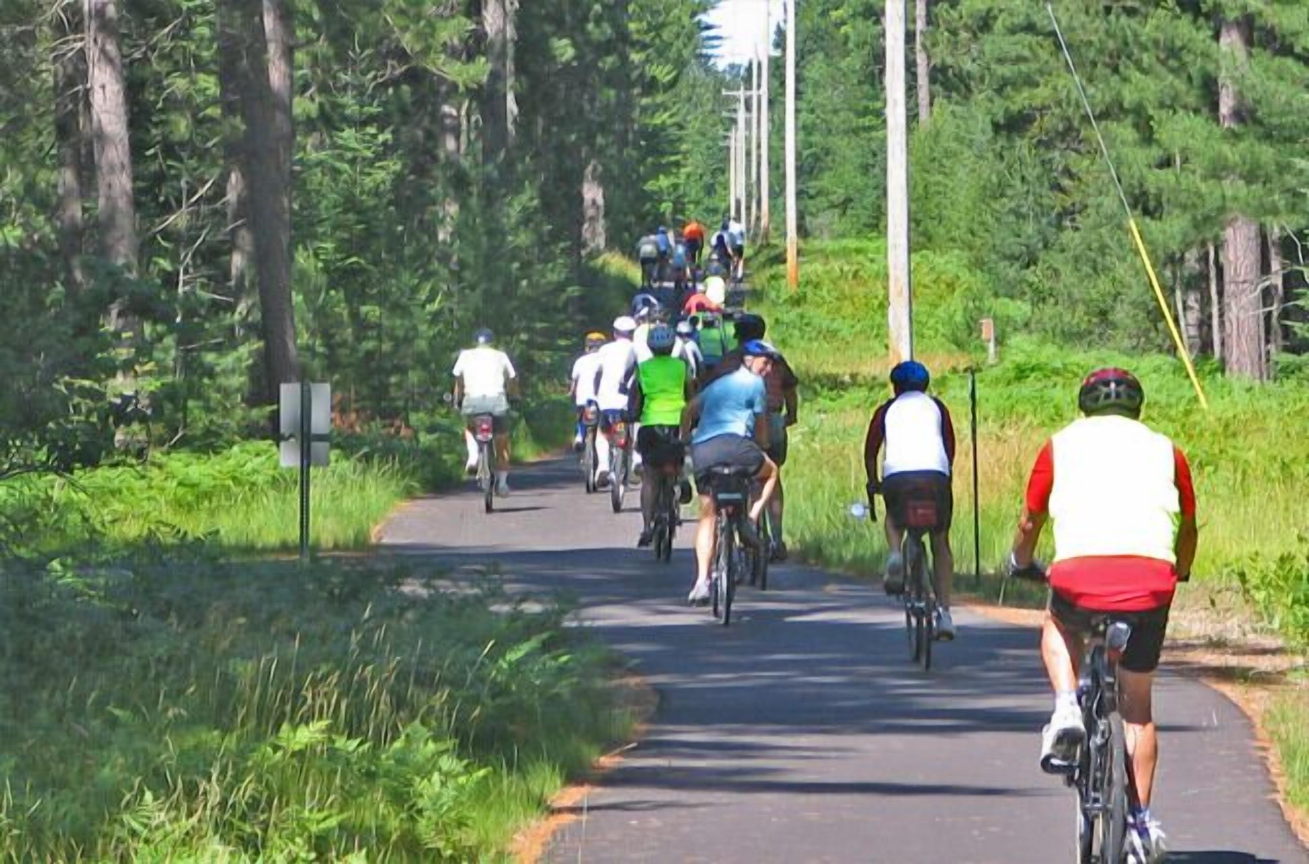 A group of cyclists on a paved path surrounded by greenery.