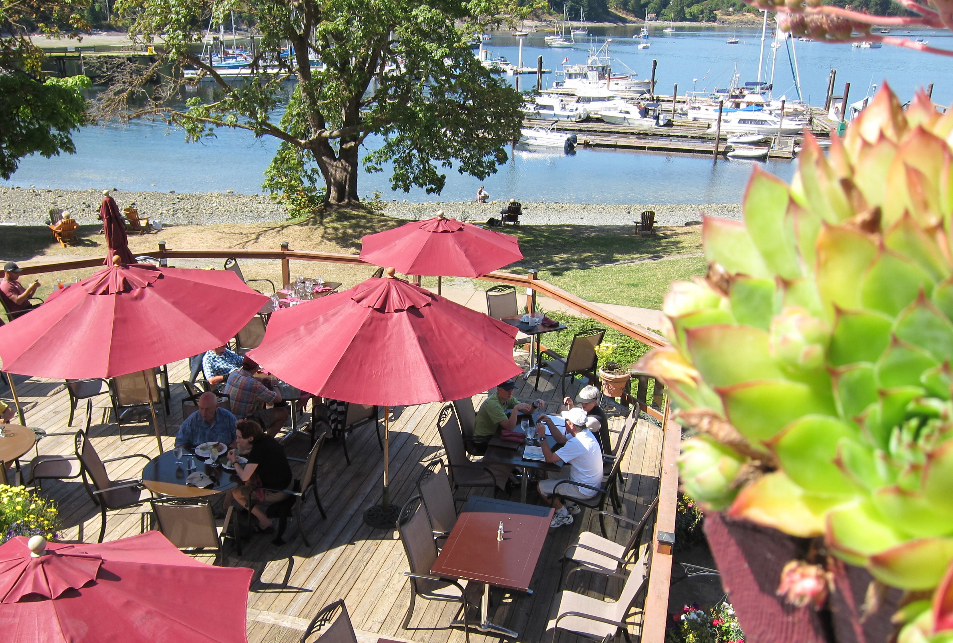 Serveert ontbijt, lunch, diner, Amerikaanse gerechten 