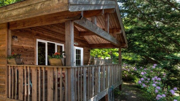 A wooden cabin with a porch, potted plants, and a view of a forest. - Heriot Bay Inn (Quadra Island)