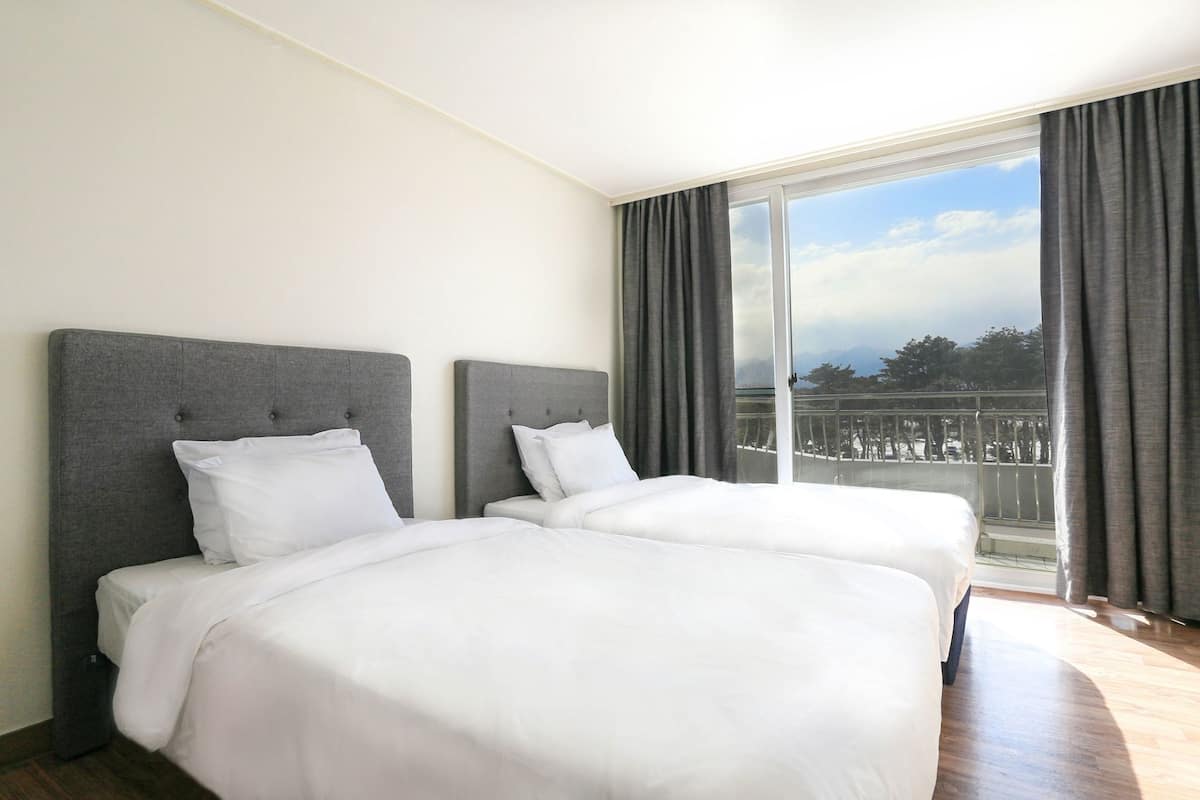 Escritorio, cortinas blackout, insonorización y wifi gratis
