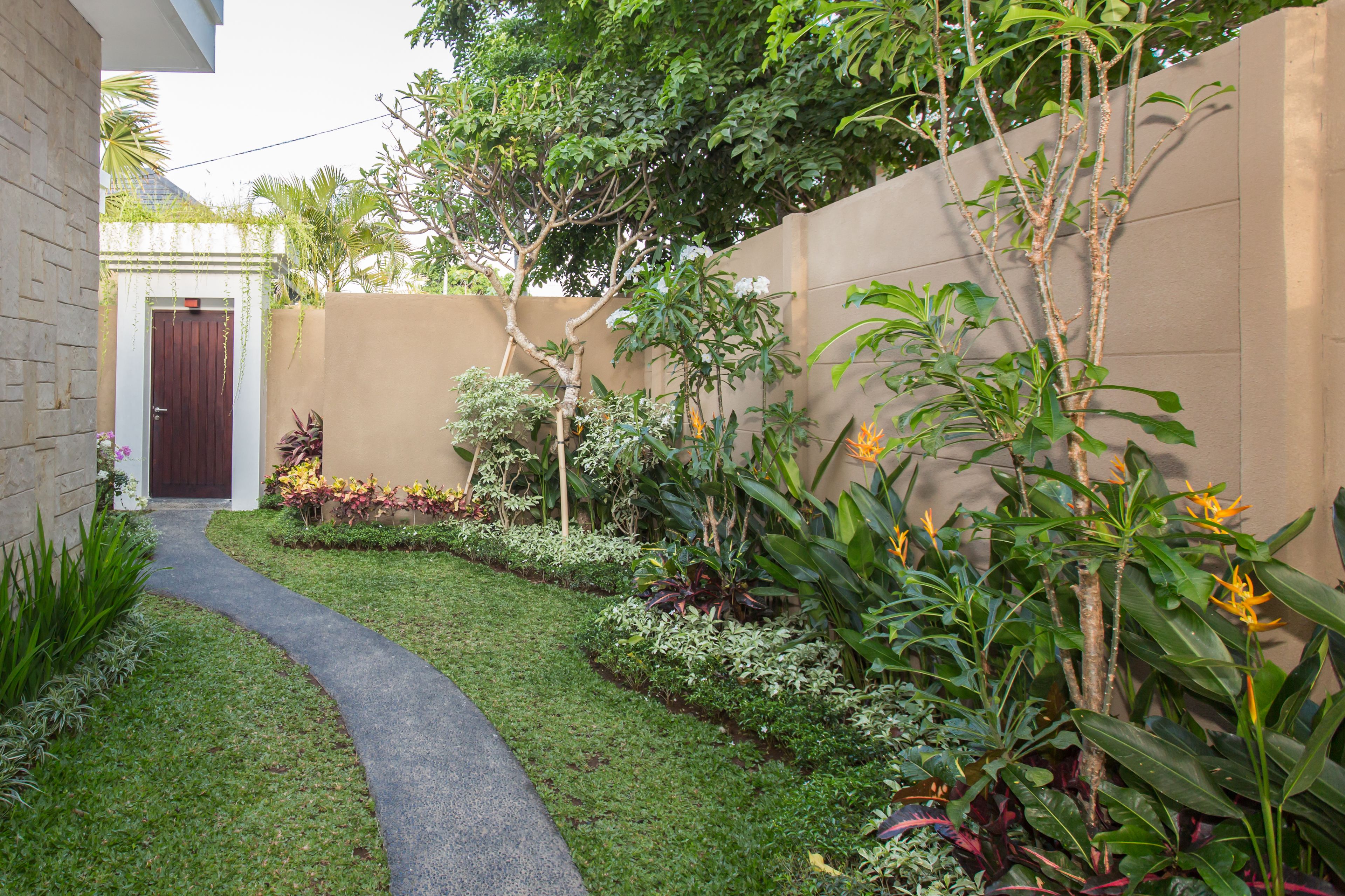 A narrow pathway leading to a door, surrounded by lush greenery and various plants.