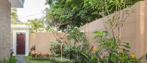 A narrow pathway leading to a door, surrounded by lush greenery and various plants.