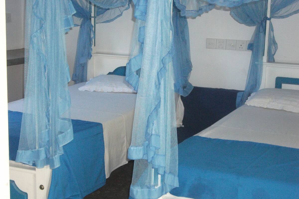 A room with two beds, each with a canopy.