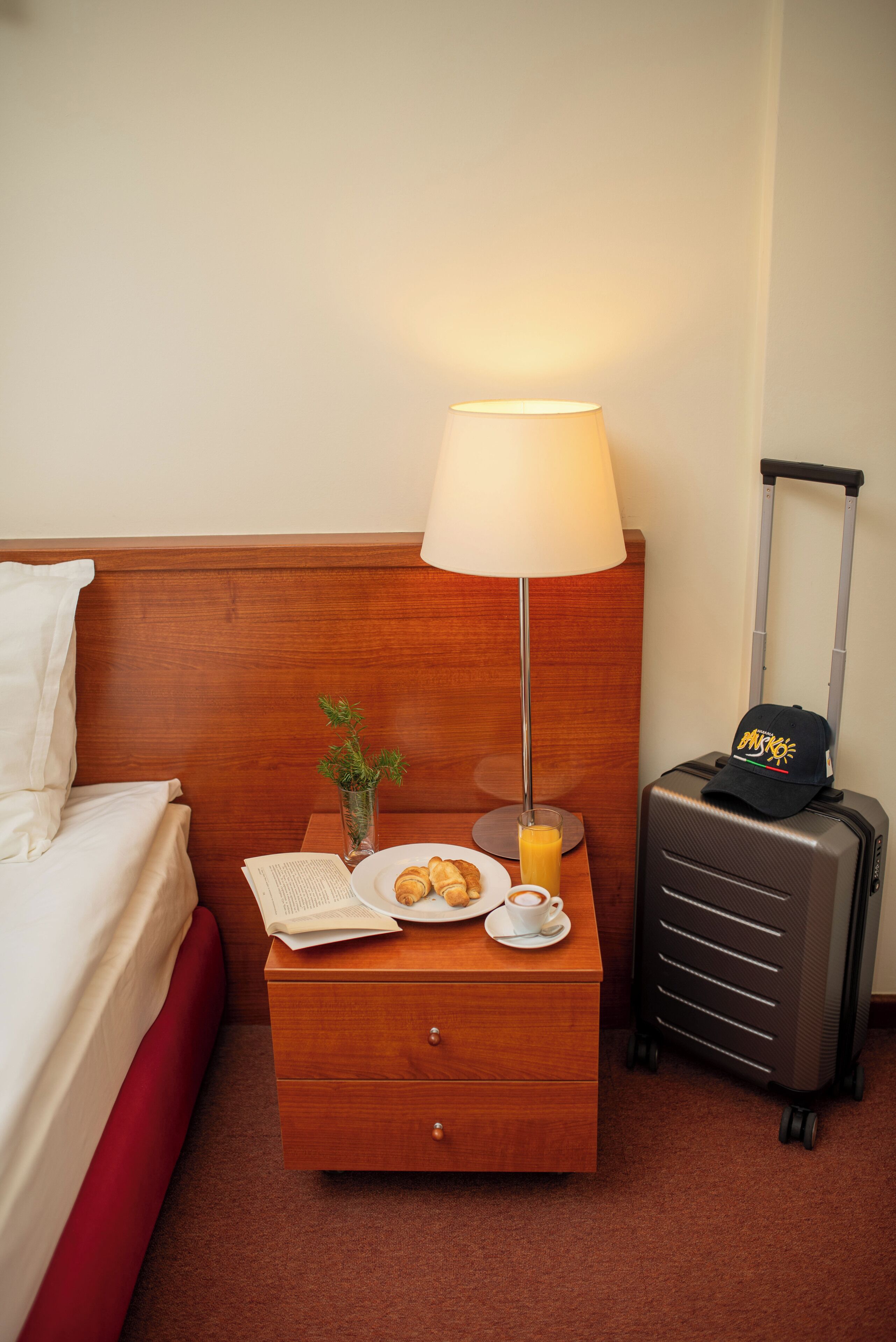 Foto - Hotel Pirin SKI & SPA