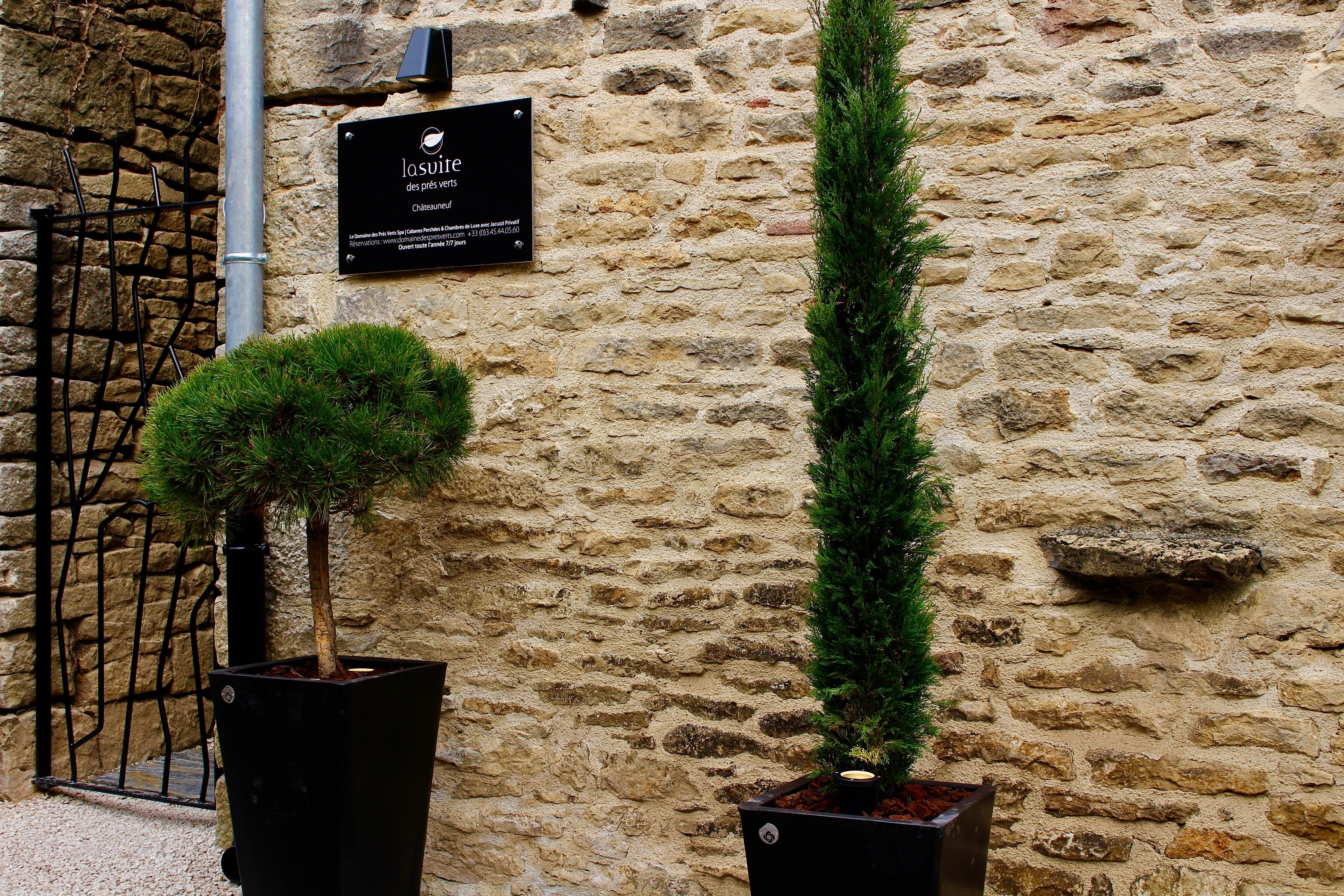 Un mur de pierres avec une pancarte et deux arbres en pot.