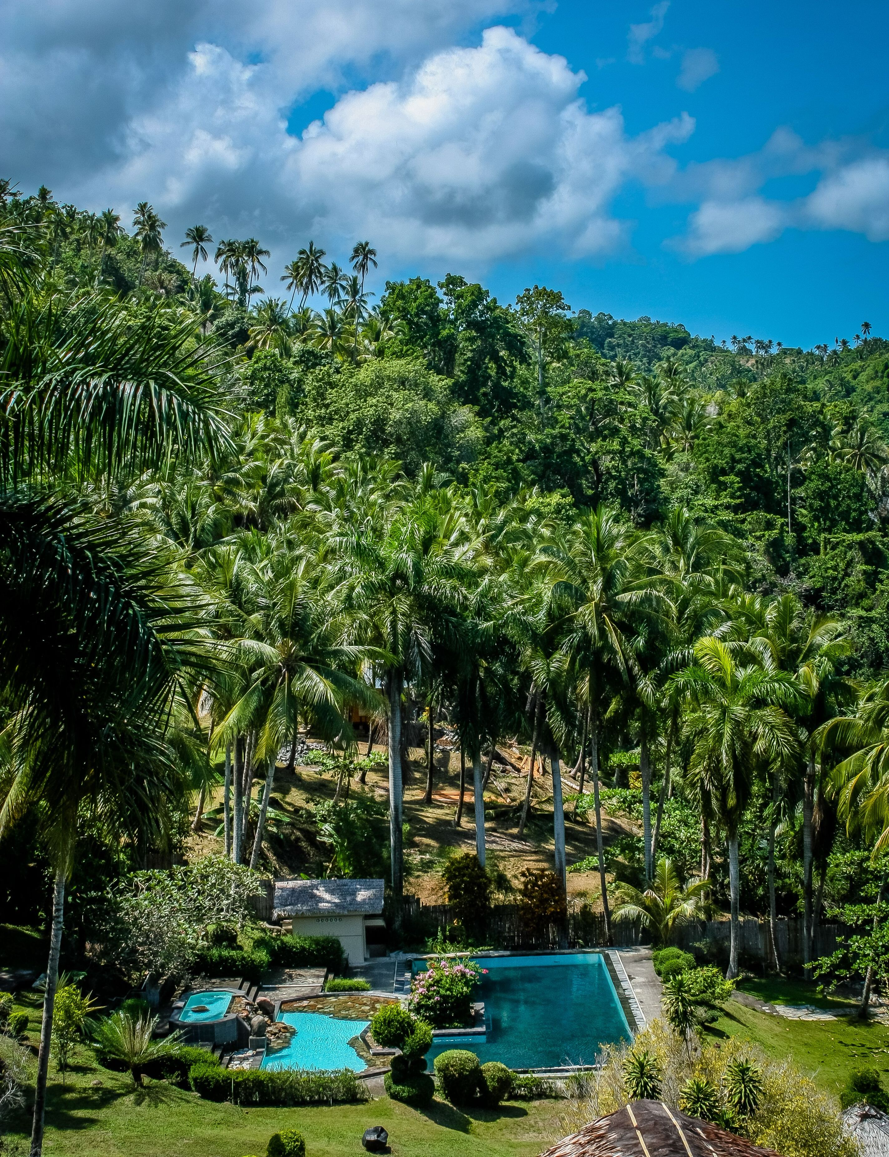 deluxe double room, 1 king bed, terrace, partial ocean view | outdoor pool | 3 outdoor pools, a natural pool