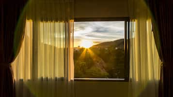 Premier Room | View from room