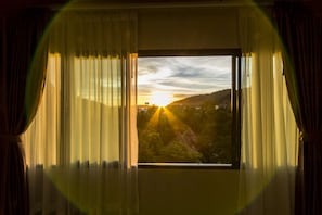 Premier Room | View from room