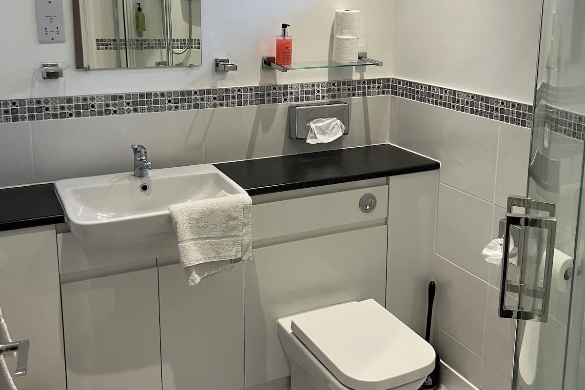 A modern bathroom with a glass shower enclosure, a white sink, and a toilet.