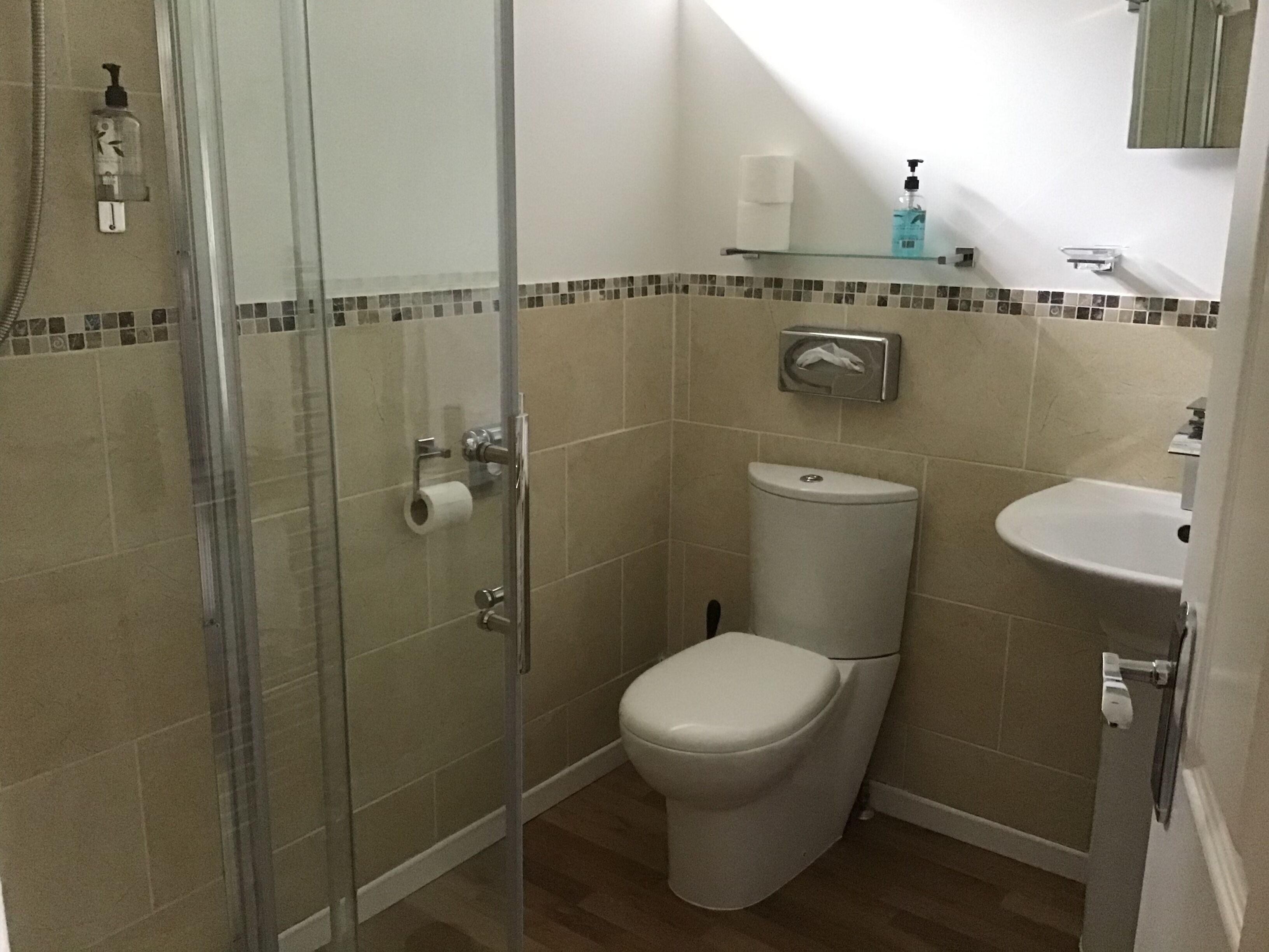 A bathroom with a glass shower enclosure, a toilet, a sink, and a small shelf with toiletries.