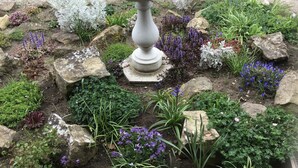 A garden with a birdbath surrounded by various plants and rocks. - The New Inn Motel (York)