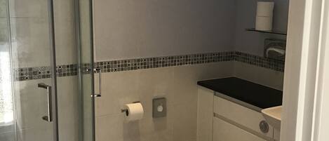 A compact bathroom with a glass shower enclosure, a toilet, and a sink.