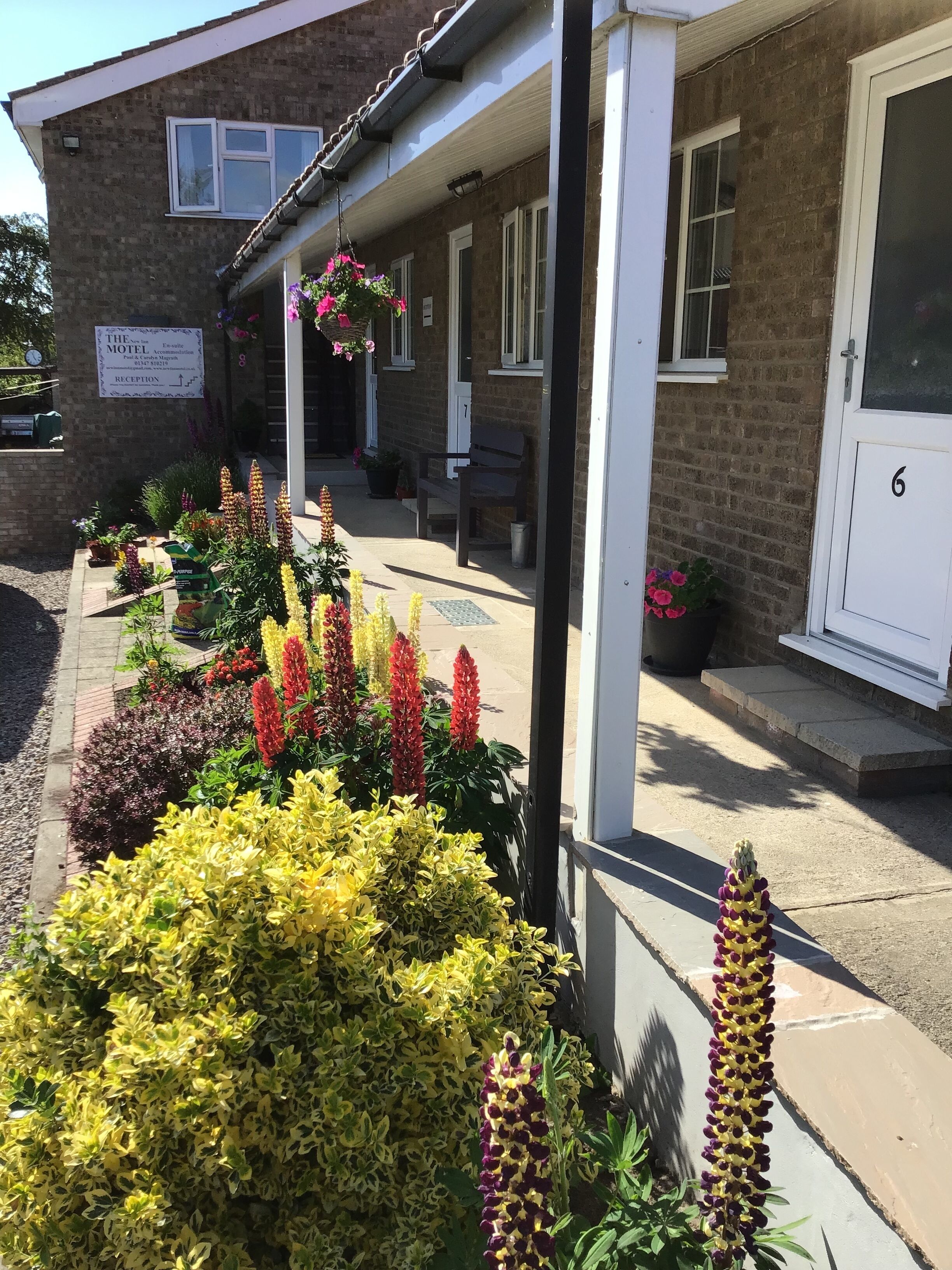 Photo - The New Inn Motel