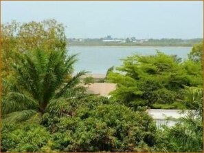 A view of a lake with dense greenery and a distant building.