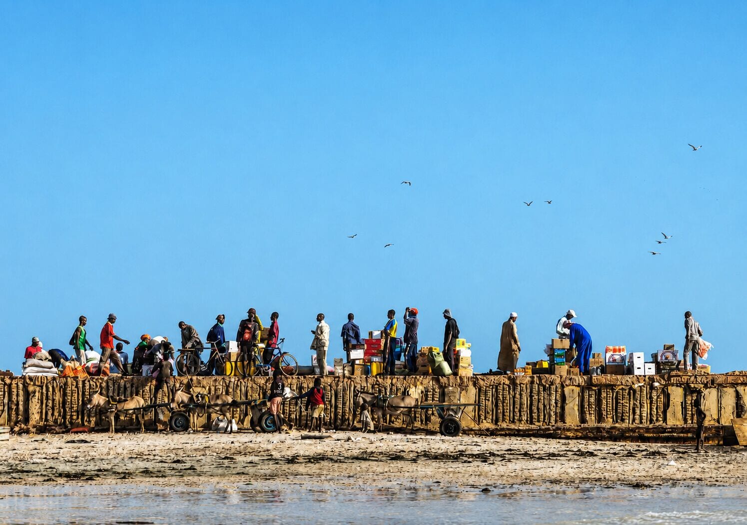 Un grupo de personas de pie en una playa arenosa bajo un cielo despejado.