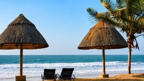 Una playa con dos sombrillas de paja, dos sillas reclinables y una palmera.