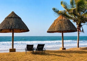Una playa con dos sombrillas de paja, dos sillas reclinables y una palmera.
