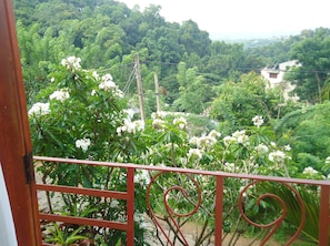 Vue depuis l’hébergement