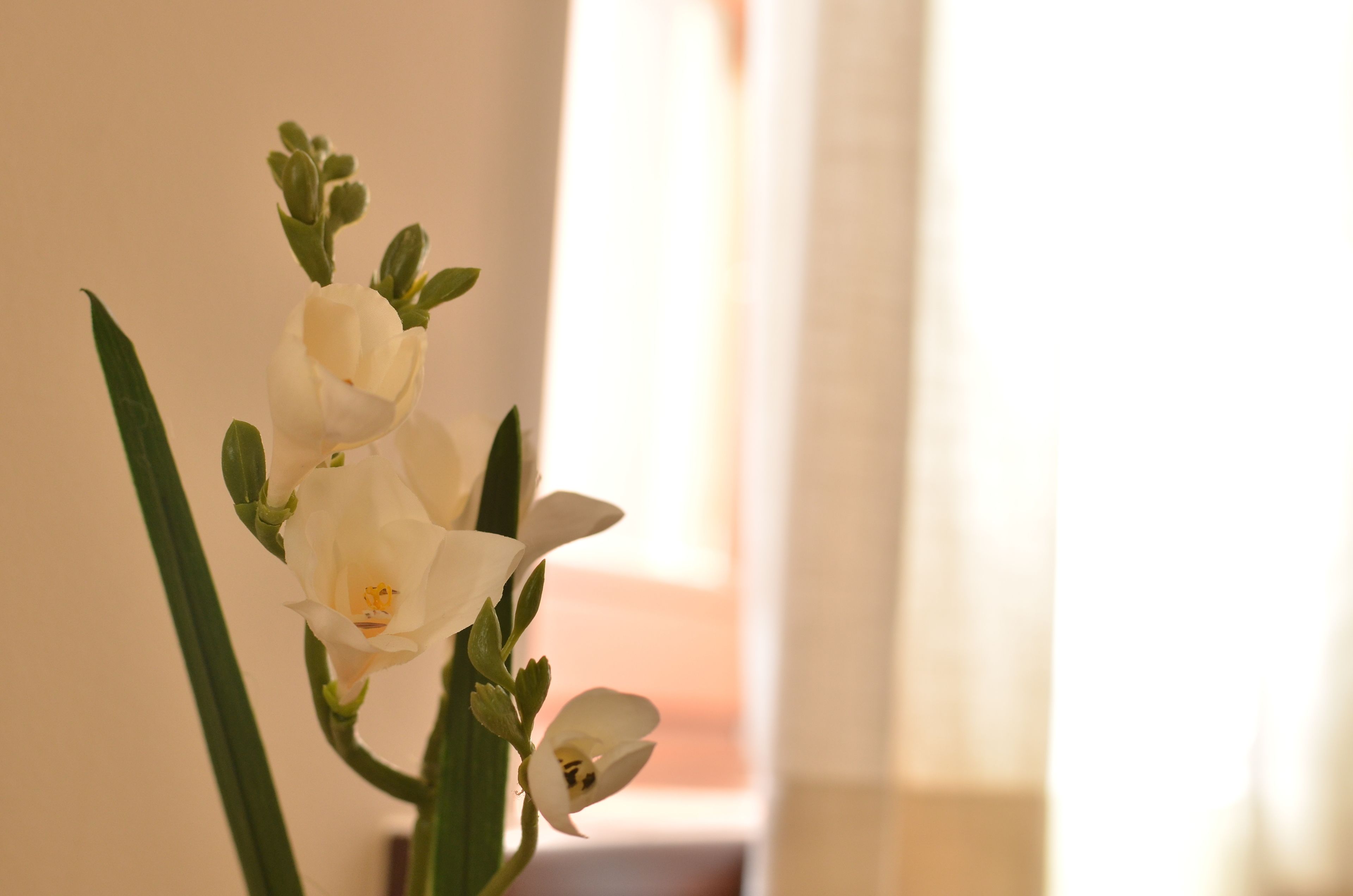 superior suite, fireplace | room amenity