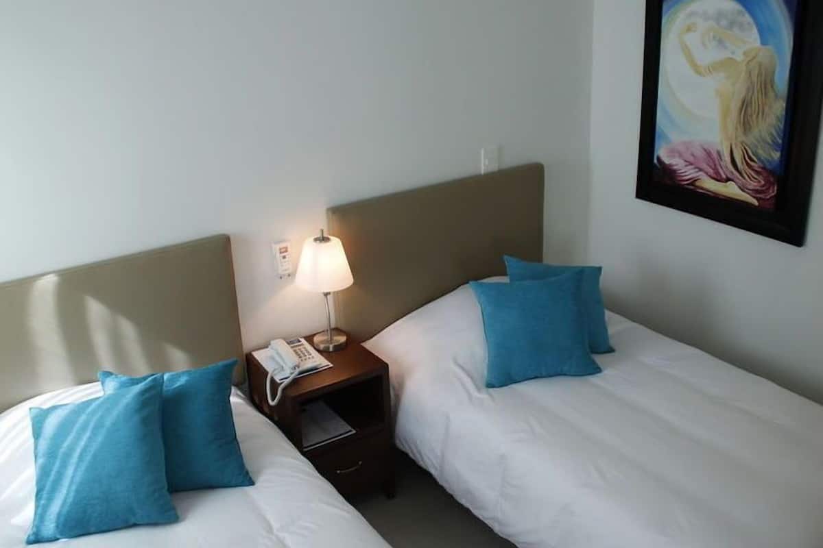 Habitación estándar, 2 camas individuales | Caja fuerte, tabla de planchar con plancha, wifi gratis y ropa de cama