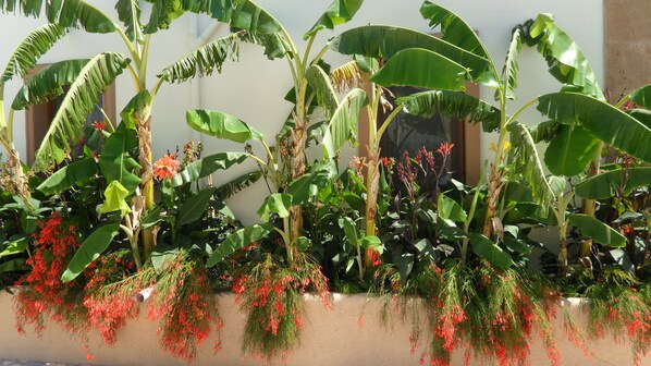 ห้องสแตนดาร์ด | วิวสวน