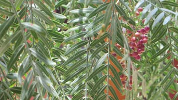 Detalle exterior