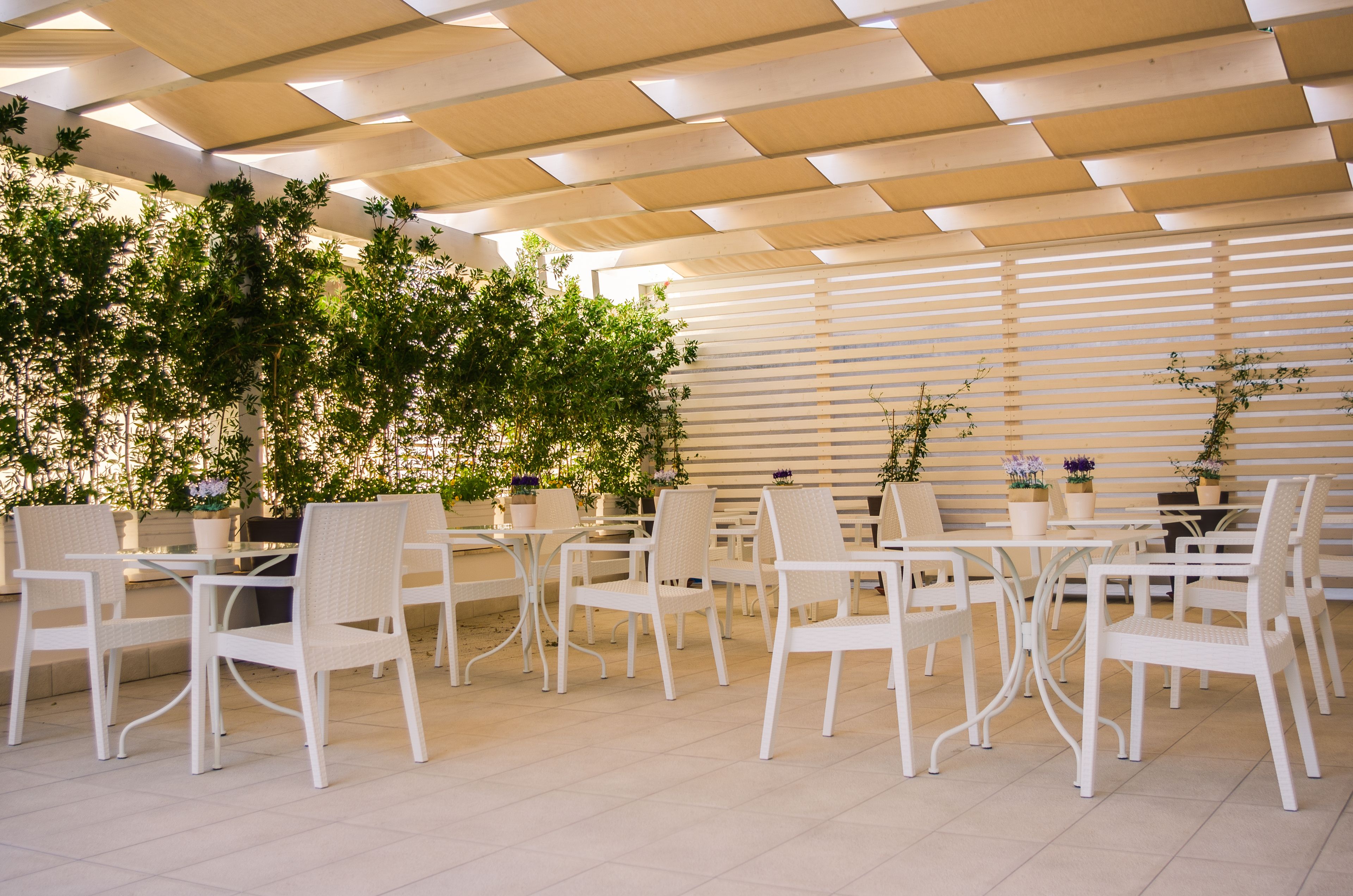 Foto - Il Gallo Bianco