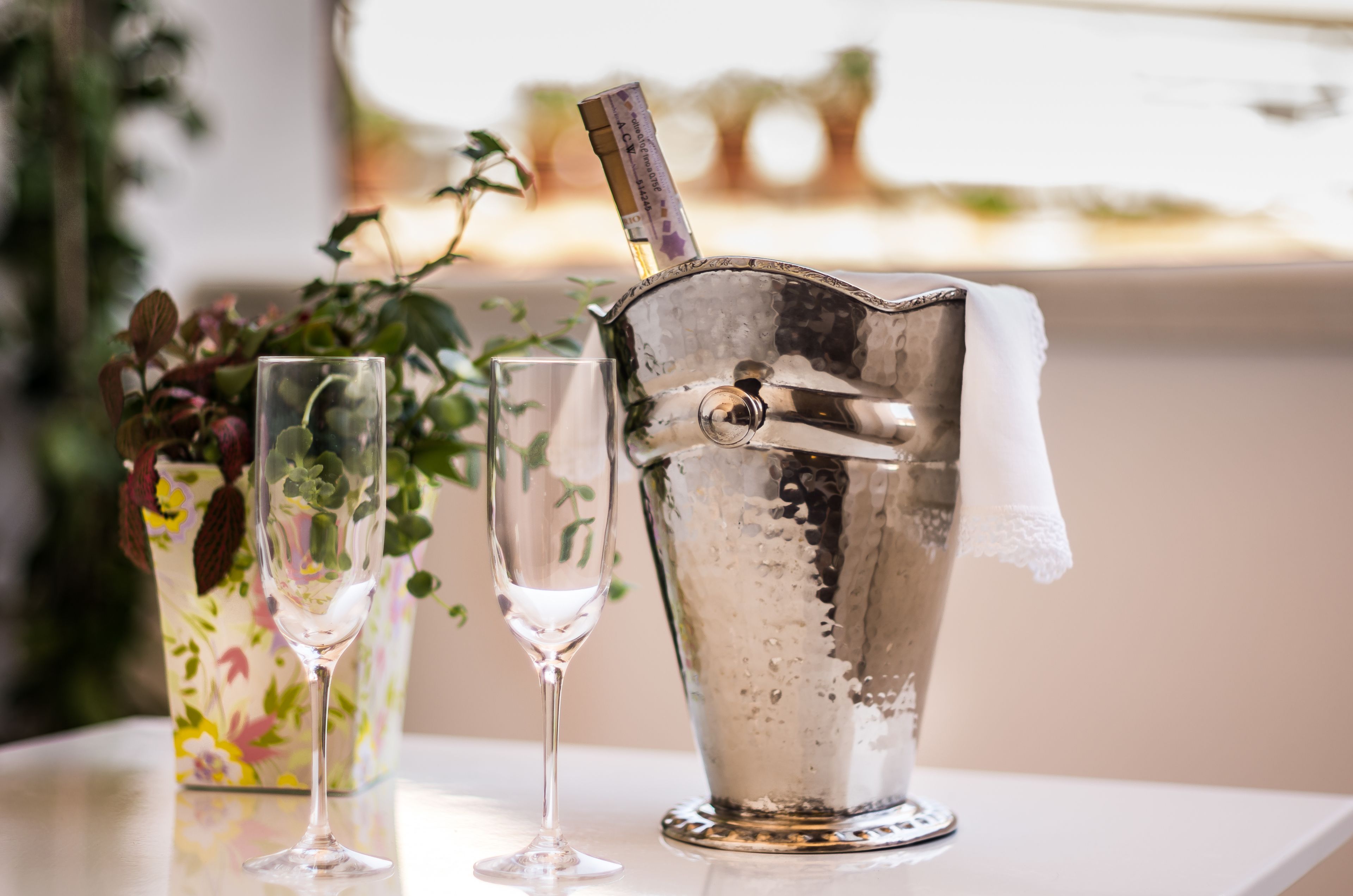 Foto - Il Gallo Bianco