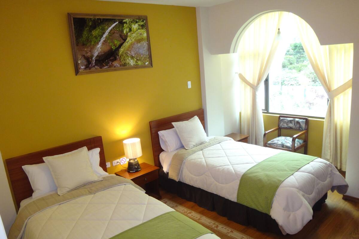 Chambre Deluxe, 2 lits une place, vue montagne