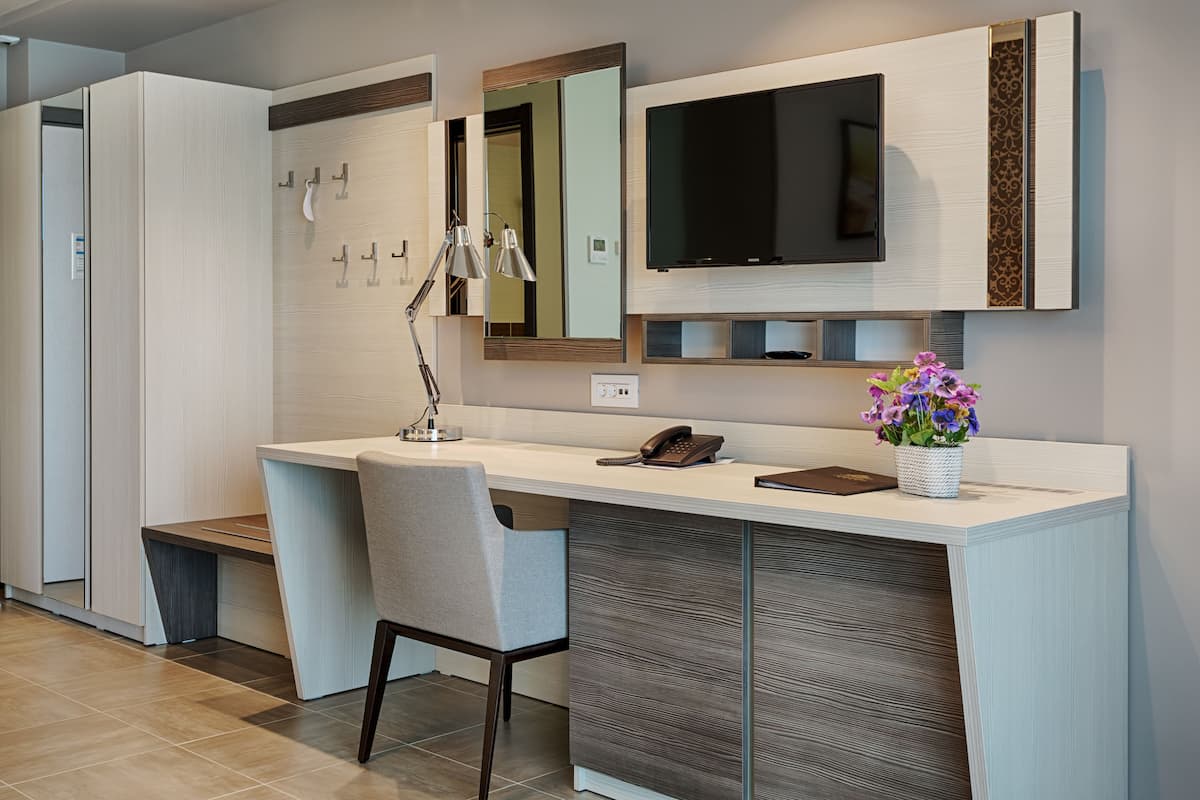 A modern hotel room with a large desk, a flat-screen TV mounted on the wall, a mirror above the desk, and a small potted plant on the desk.
