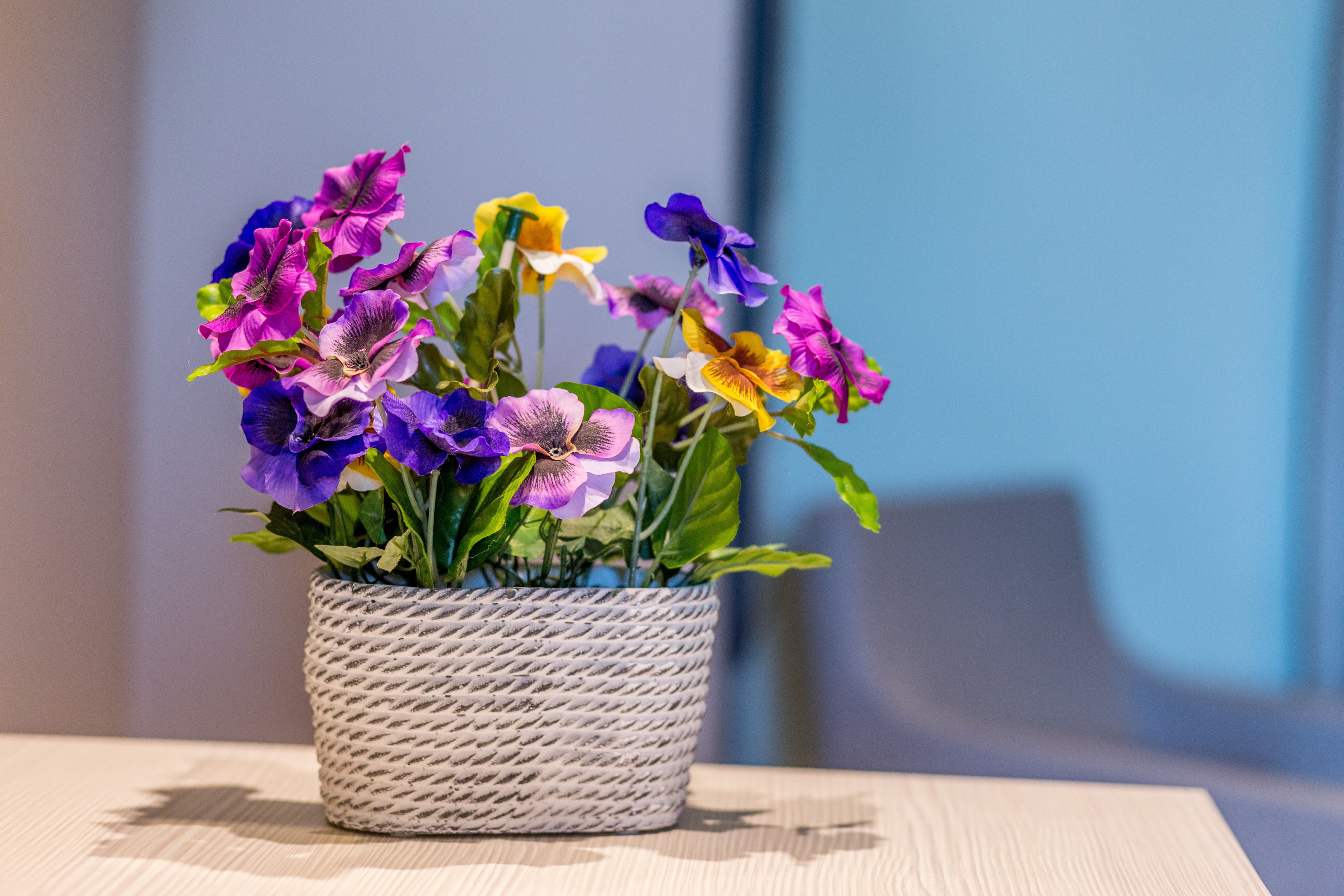 A potted plant with various flowers on a table.